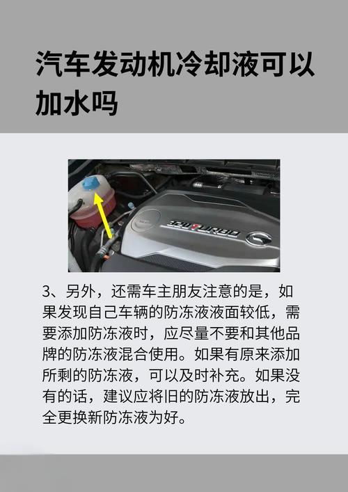 a053a9d2-b498-42e5-aa0c-2036de2e173b.jpg